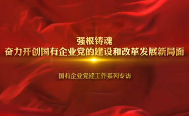 国有企业党建工作系列专访之一                奋力开创国有企业党的建设和改革发展新局面